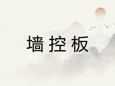墙控板