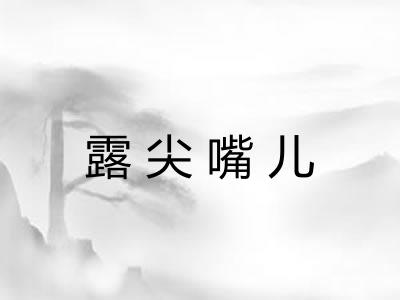 露尖嘴儿