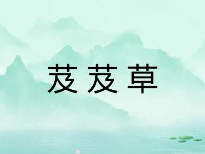 芨芨草