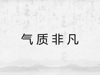 气质非凡