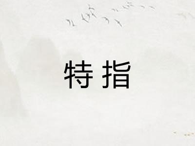 特指