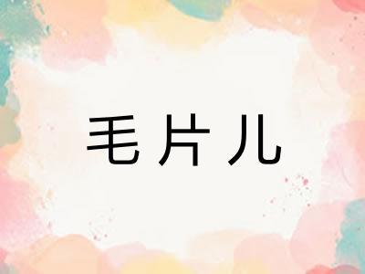 毛片儿