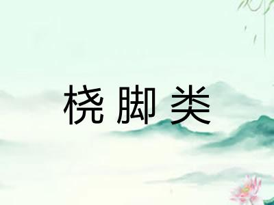 桡脚类
