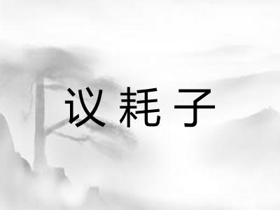 议耗子