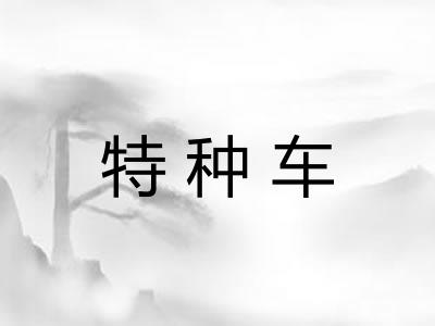 特种车