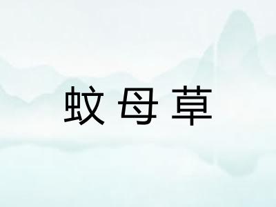 蚊母草
