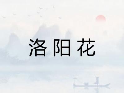 洛阳花