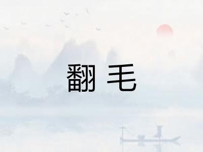 翻毛