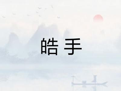 皓手