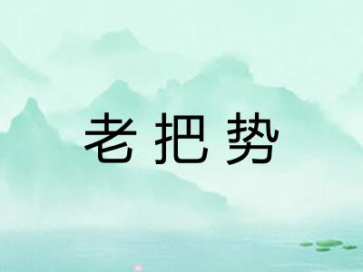 老把势