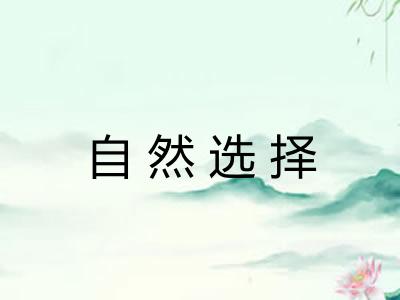 自然选择