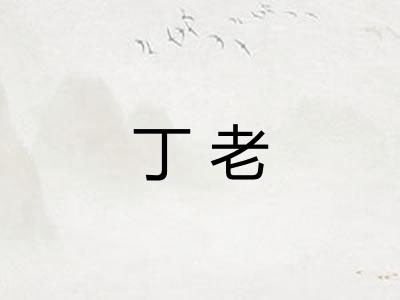 丁老