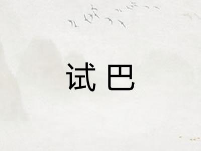 试巴
