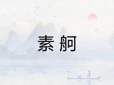 素舸