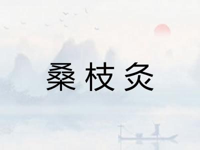 桑枝灸