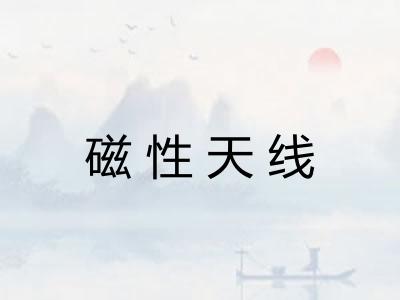 磁性天线 磁性天线