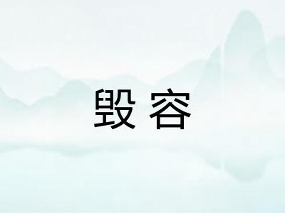 毁容