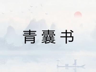 青囊书