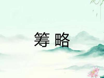 筹略