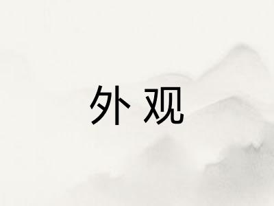 外观