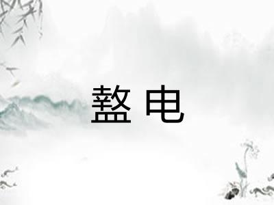 盩电