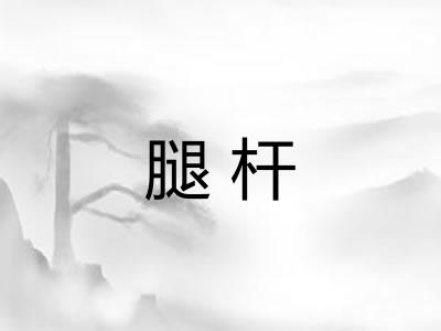 腿杆