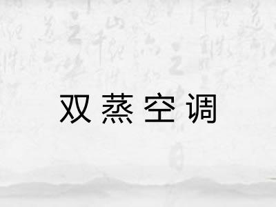 双蒸空调