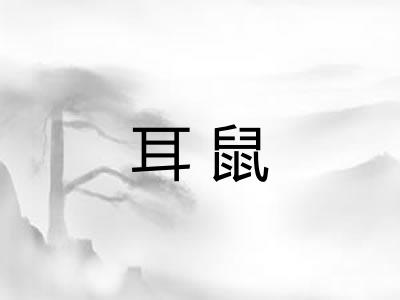 耳鼠