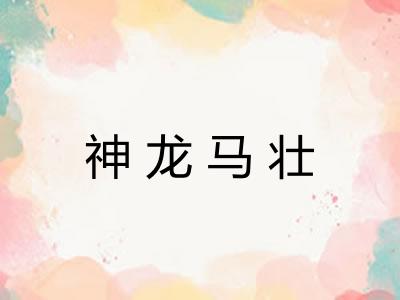 神龙马壮
