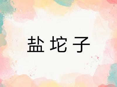 盐坨子