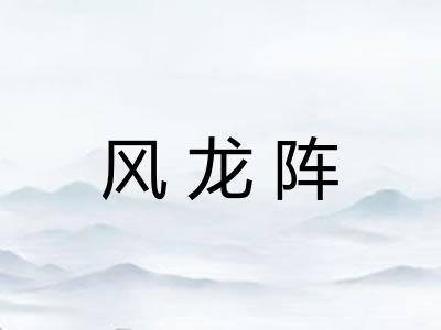 风龙阵