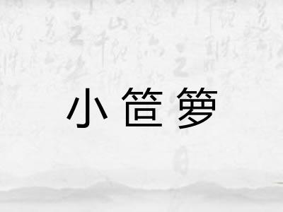 小笸箩