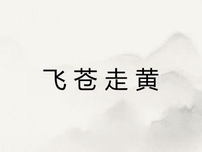 飞苍走黄