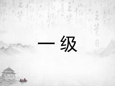 一级