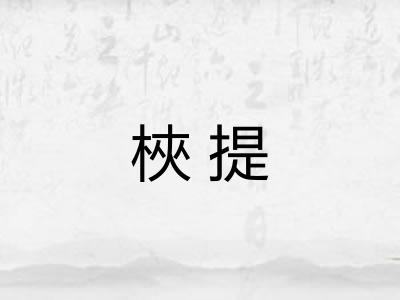 梜提 梜提