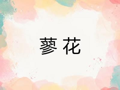 蓼花
