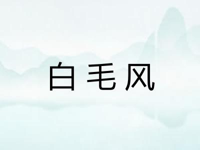 白毛风