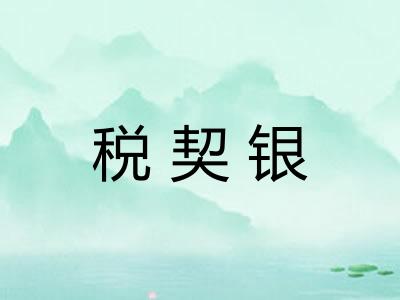 税契银 税契银