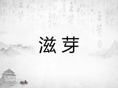 滋芽