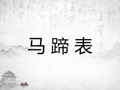 马蹄表