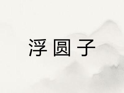 浮圆子