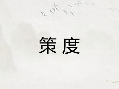 策度