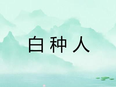 白种人