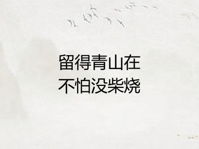 留得青山在不怕没柴烧 留得青山在不怕没柴烧