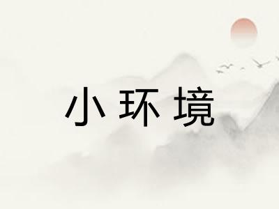 小环境 小环境