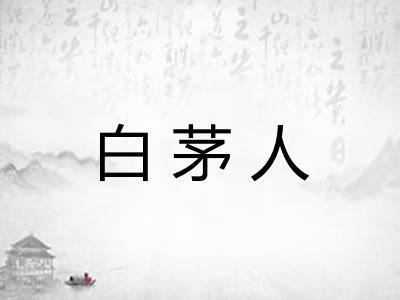 白茅人