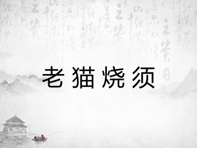 老猫烧须