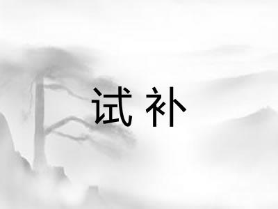 试补
