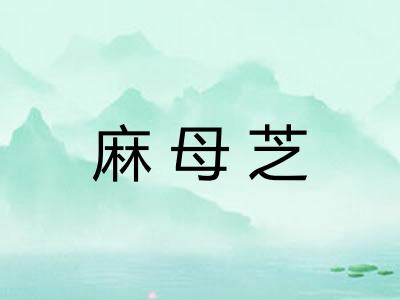麻母芝 麻母芝