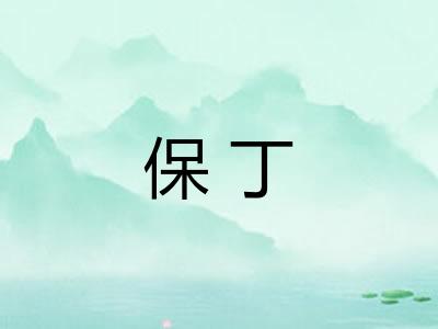 保丁